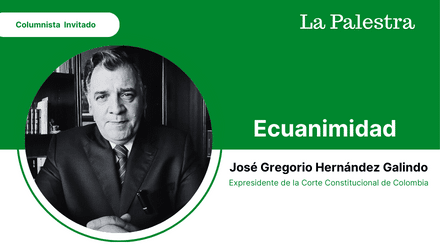 frnakliz la realidad (15)