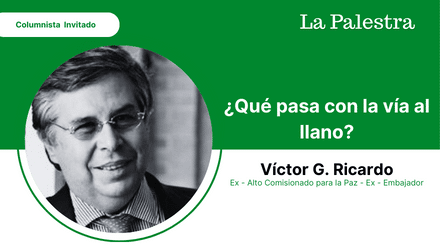 frnakliz la realidad (16)