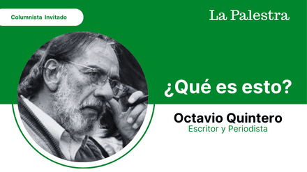frnakliz la realidad (16)