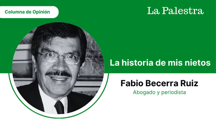 frnakliz la realidad (27)