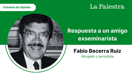 frnakliz la realidad (31)