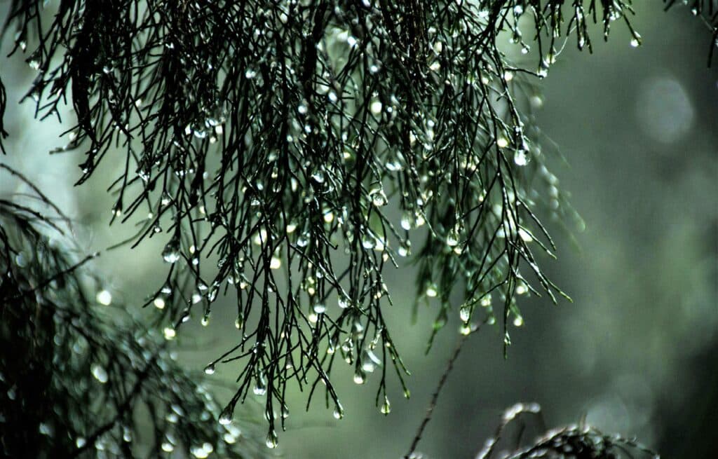 lluvia