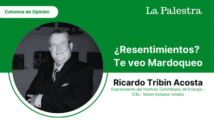 frnakliz la realidad (40)