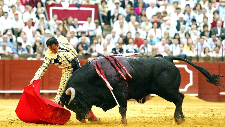 cesar rincon 3