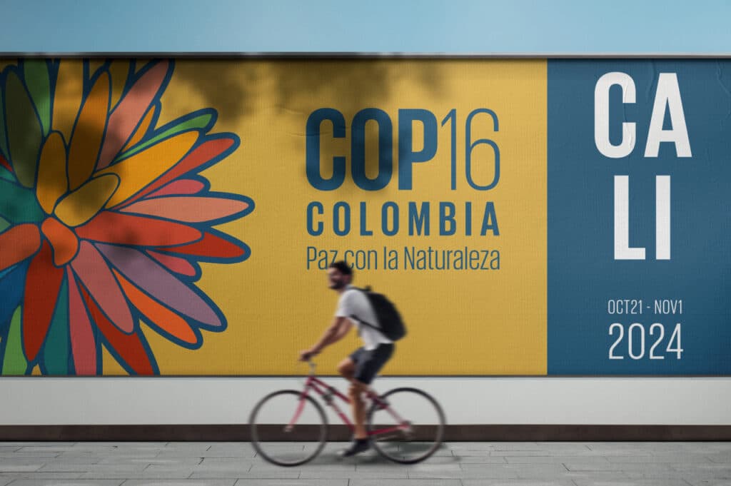 la cop 16