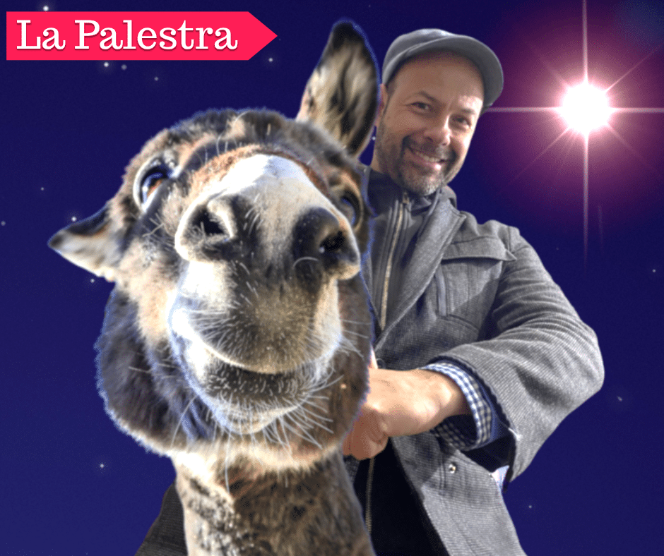especial de sabado