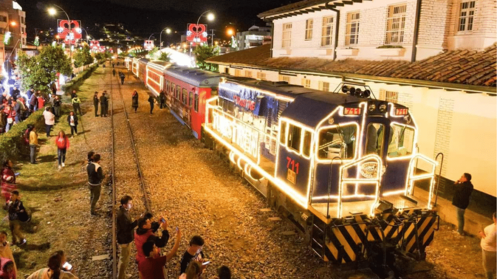 tren turistico 5