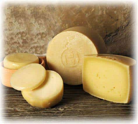 queso paipa