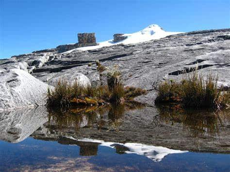 nevado 20