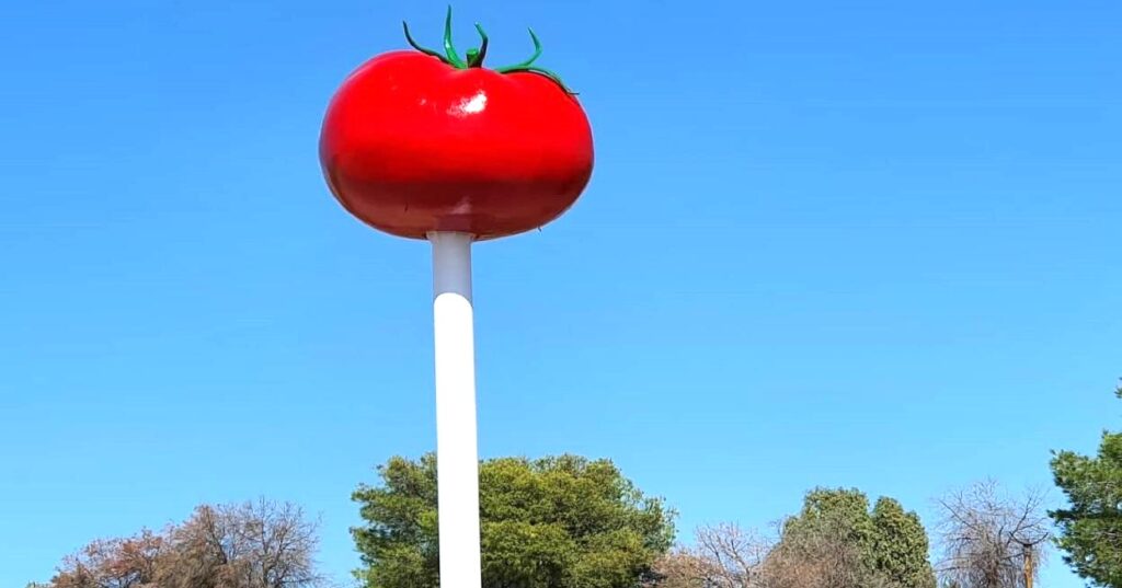 tomate
