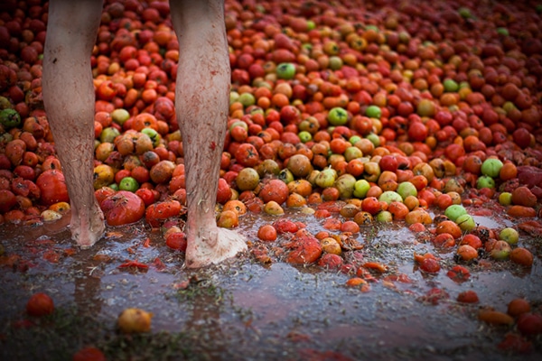 tomatina 3