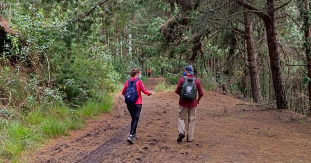 caminatas