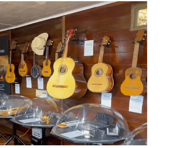 rincon instrumentarium