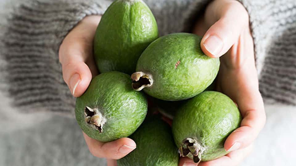 feijoa